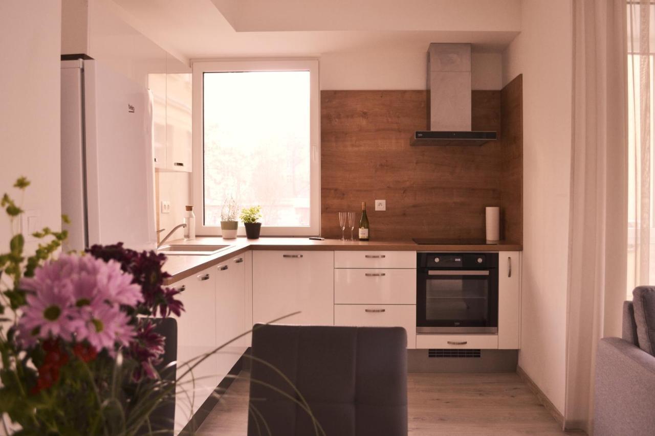 Elegant Escape Apartment I - City Centre براتسيلافا المظهر الخارجي الصورة